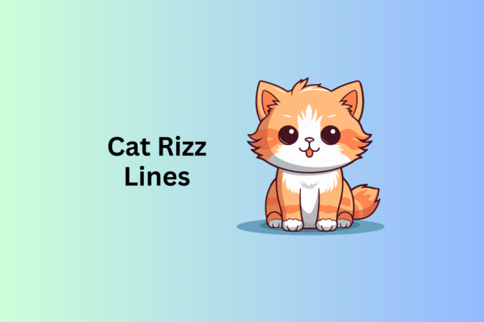 Cat Rizz Lines