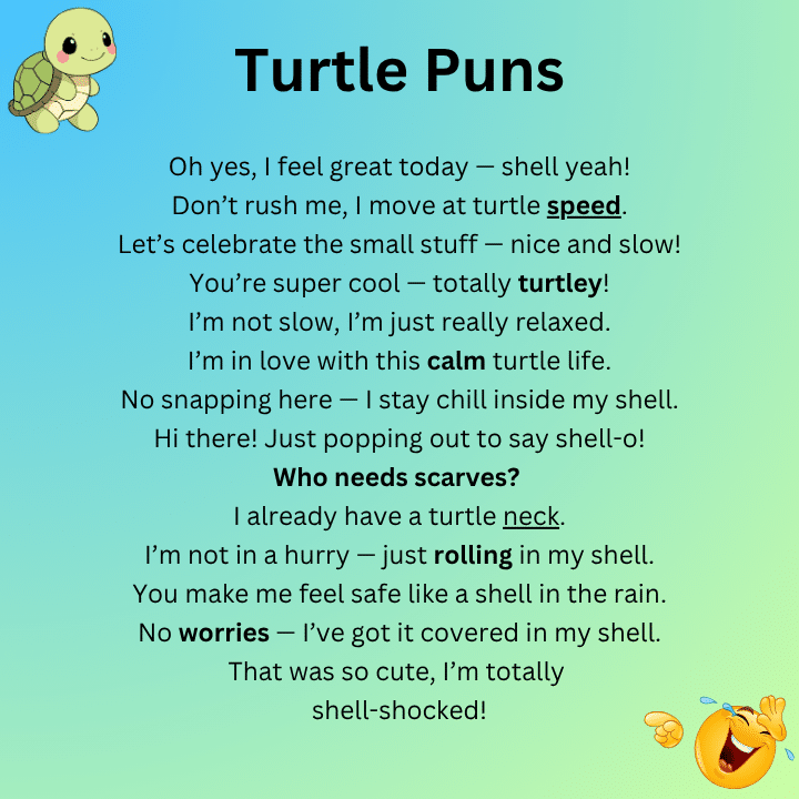 Turtle Puns