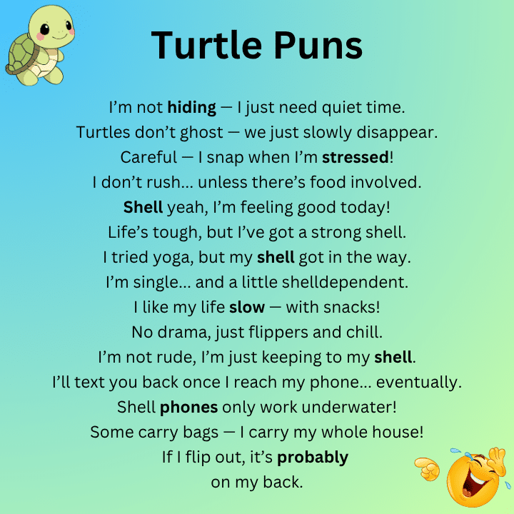 Funny Turtle Puns
