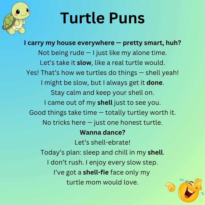 Turtle Puns