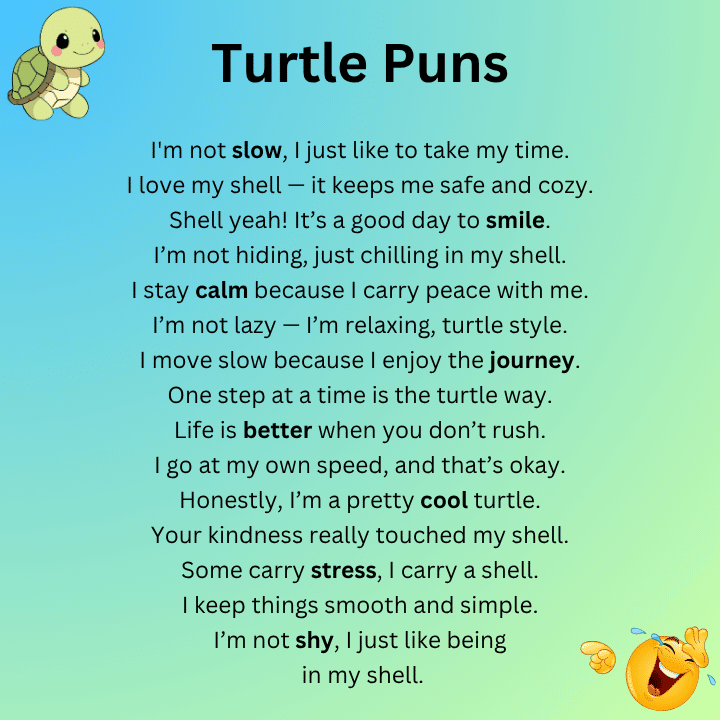 Turtle Puns One Liners