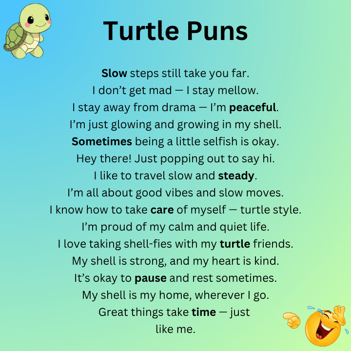 Turtle Puns One Liners