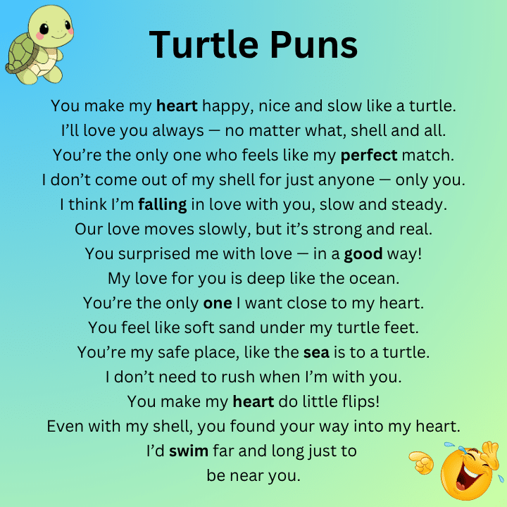 Turtle Puns Love
