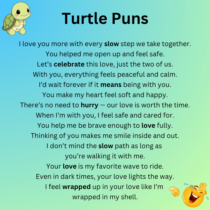 Turtle Puns Love