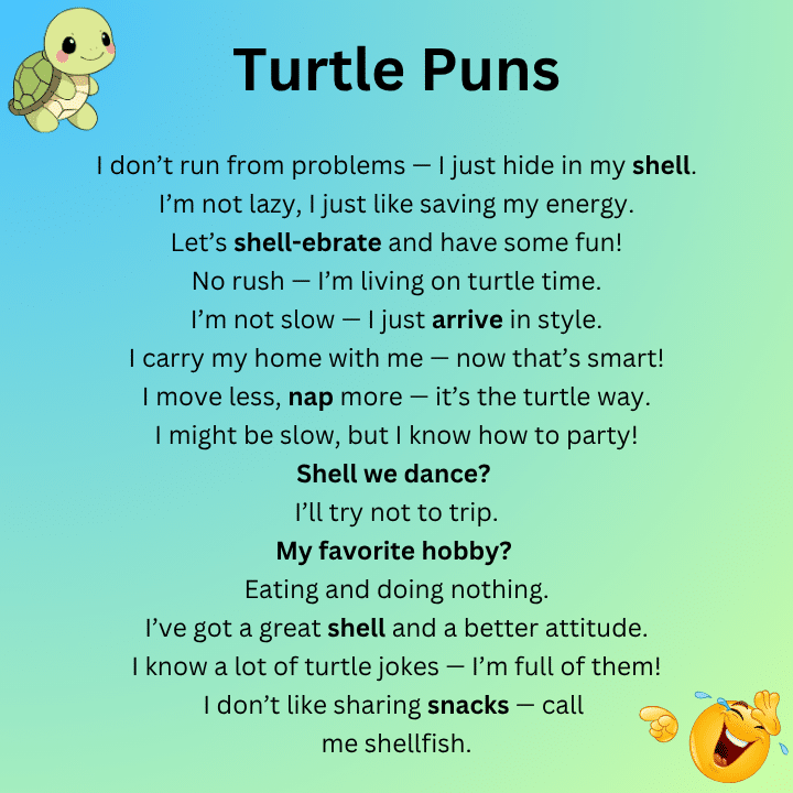 Funny Turtle Puns