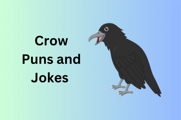 Crow Puns and Jokes