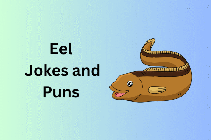 Eel Jokes and Puns