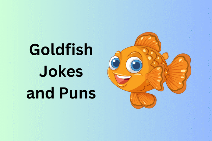Goldfish Jokes and Puns