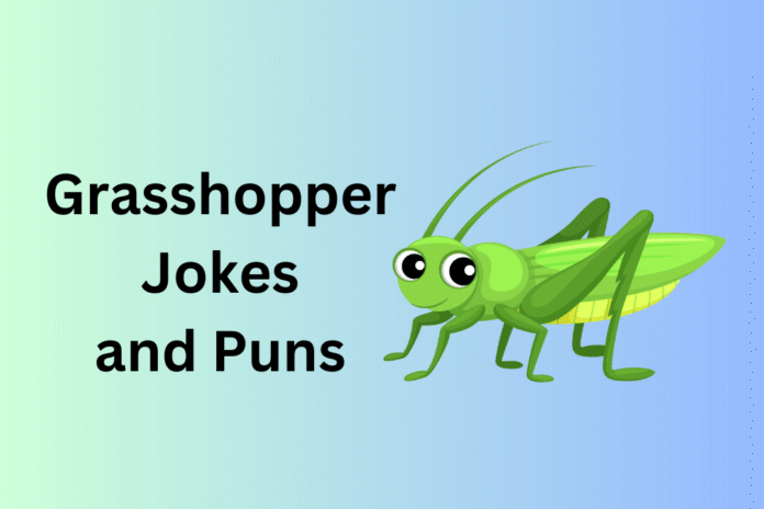 Grasshopper Jokes and Puns