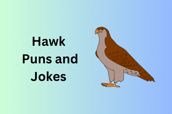 Hawk Puns and Jokes