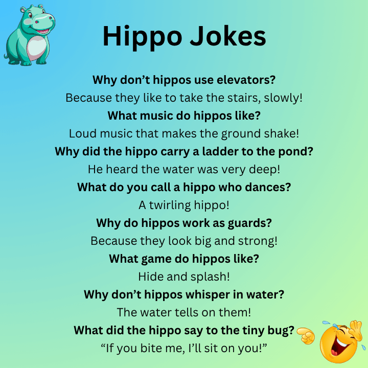 Hippo Jokes