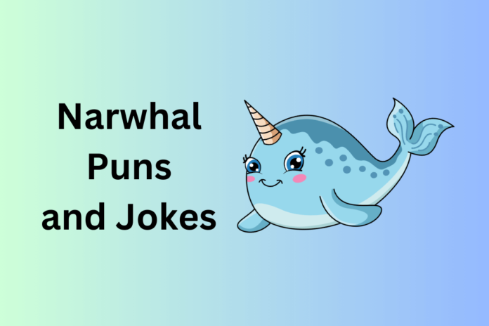 Narwhal Puns and Jokes