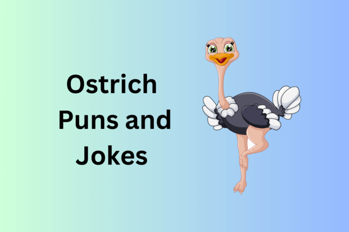 Ostrich Puns and Jokes