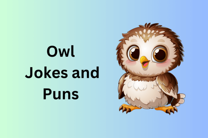 Owl Jokes and Puns