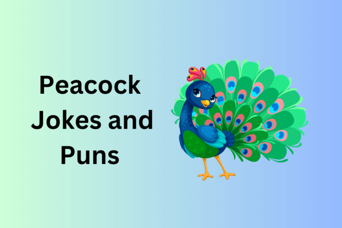 Peacock Jokes
