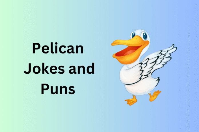 Pelican Jokes and Puns