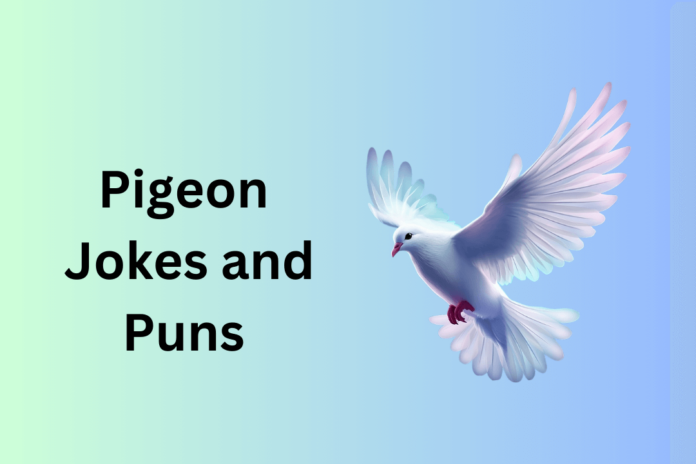 Pigeon Jokes and Puns