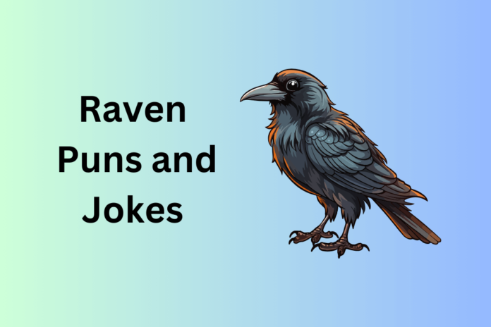 Raven Puns and Jokes