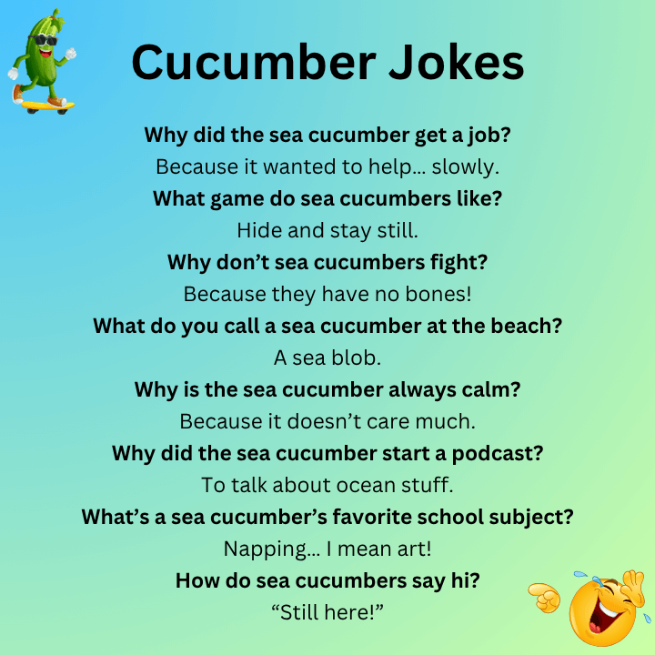 Sea Cucumber Jokes