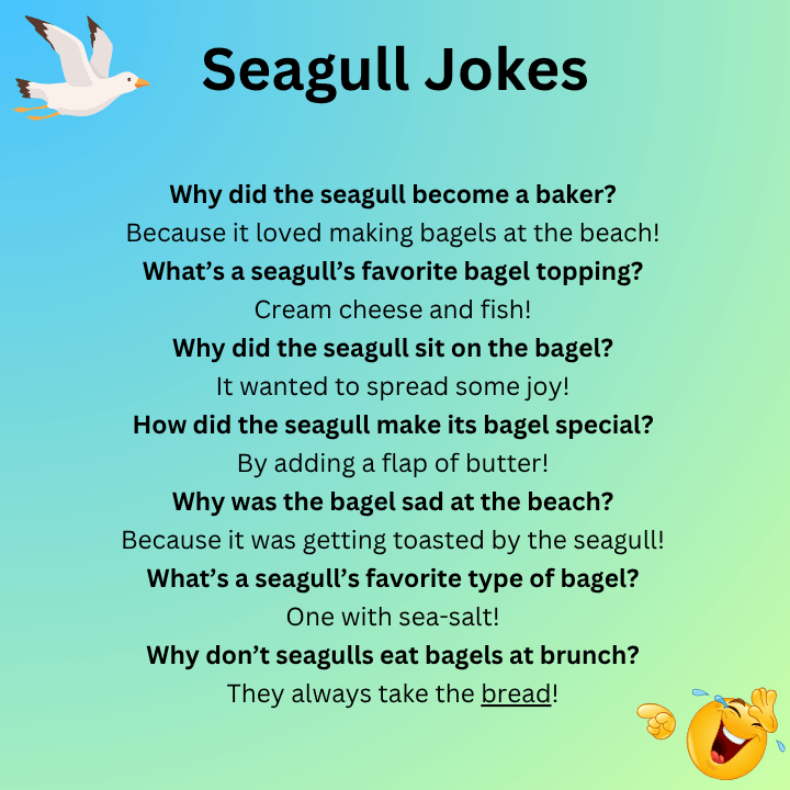 Seagull Joke Bagel