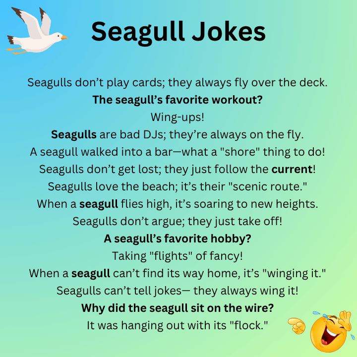 Seagull Jokes One Liners
