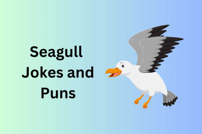 Seagull Jokes and Puns