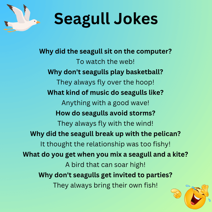 Seagull Jokes