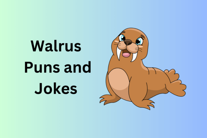 Walrus Puns and Jokes