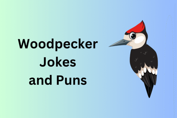 Woodpecker Jokes and Puns