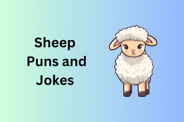 Sheep Puns and Jokes