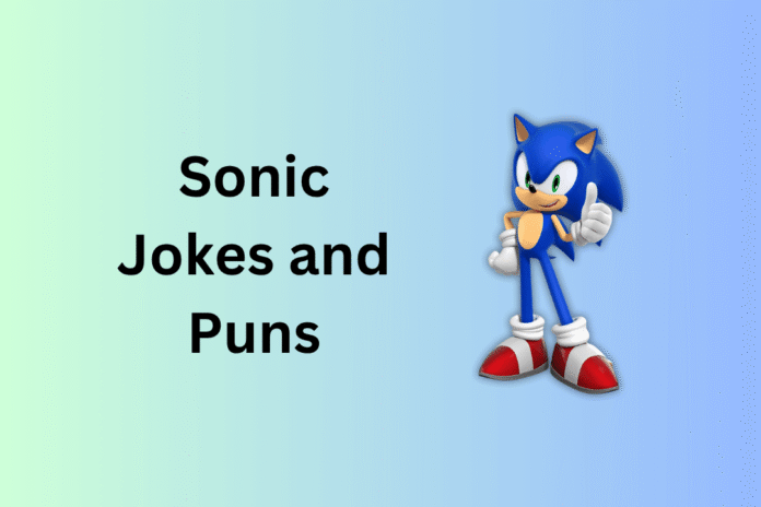 Sonic Jokes and Puns