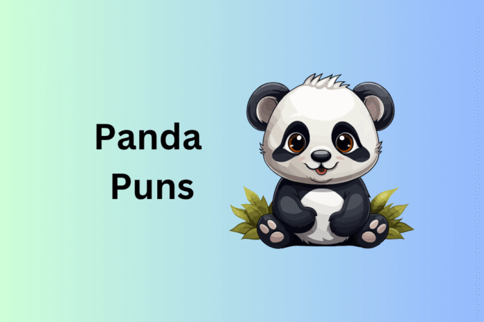Panda Puns