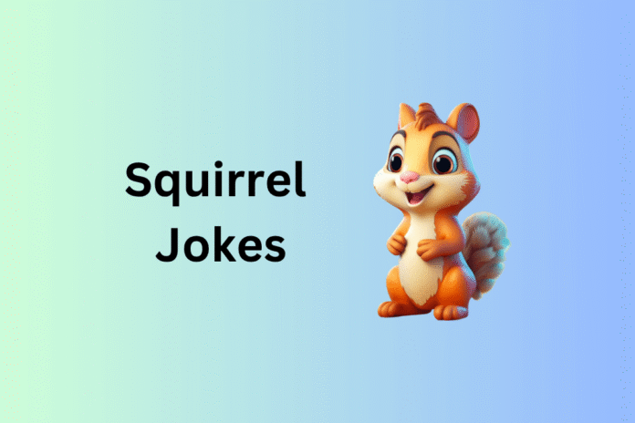 Squirrel Jokes