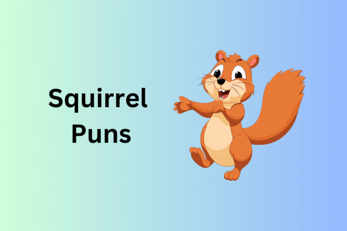 Squirrel Puns